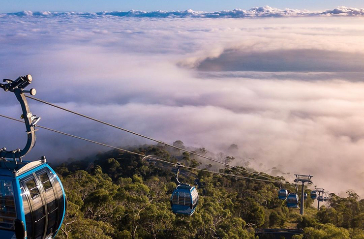 A shot from above looking down on the ski lifts above the clouds rising above the bush